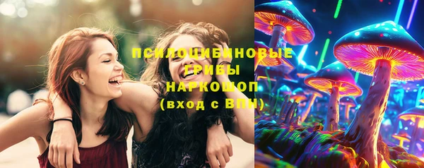 индика Алексин