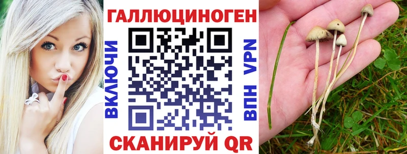 Купить где  Свободный  Псилоцибиновые грибы Magic Shrooms 